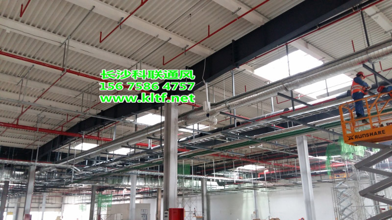 L(fng)ܵ@Щ(yu)c(din)֪᣿