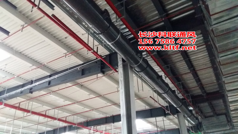 20151115_150531 (800x450).jpg 20151115_150531 (800x450).jpg